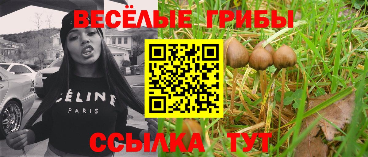 Псилоцибиновые грибы MAGIC MUSHROOMS  Вход с VPN  Алатырь 